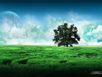 /album/fantasy-landscape/wiese-mit-wolkenhimmel-grun-blau-jpg/